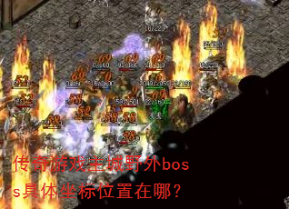 ������Ϸ����Ұ��boss��������λ�����ģ�