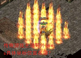 ������Ϸ����Ұ��boss��������λ�����ģ�