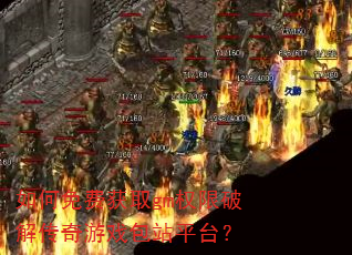 �����ѻ�ȡgmȨ���ƽ⴫����Ϸ��վƽ̨��
