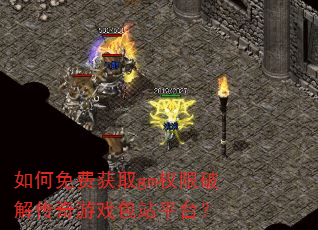 �����ѻ�ȡgmȨ���ƽ⴫����Ϸ��վƽ̨��