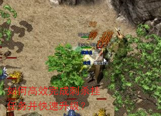 ��θ�Ч��ɴ�ɱ�����񲢿���������