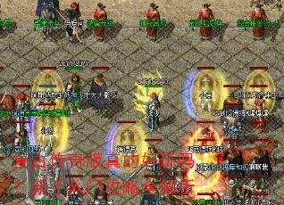 ���Ŵ������ĺ������������Ź���ȫ����