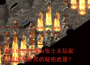 ��������γ�Ϊ��ʿ����ҳưԴ������������������