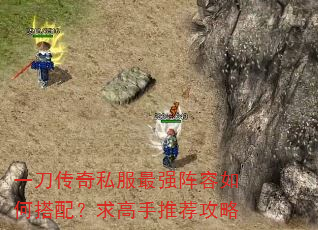 һ������˽����ǿ������δ��䣿������Ƽ�����