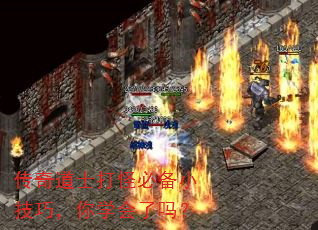 传奇道士打怪必备小技巧,你学会了吗? 传奇道士打怪必备小技巧,你学会了吗?