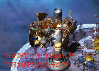 �¿����䵥ְҵ��Ѫ����˽����ο�������ս����