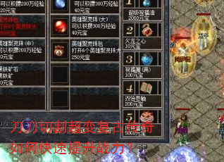 �����и�临�Ŵ�����ο�������ս����