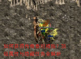 ��λ�ô���̩̹��ָ��������������������ȫ����