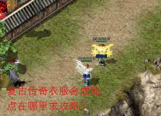 ���Ŵ����·��ϳɵص����������ԣ�
