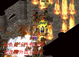 咸鱼之王传奇如何快速提升战斗力? 咸鱼之王传奇如何快速提升战斗力?