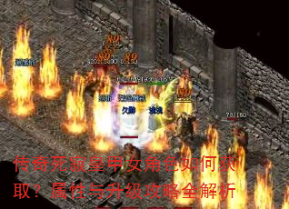�������Żʼ�Ů��ɫ��λ�ȡ����������������ȫ����