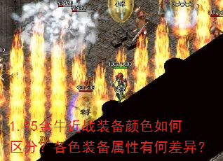 1.95��ţ��սװ����ɫ������֣���ɫװ�������кβ��죿
