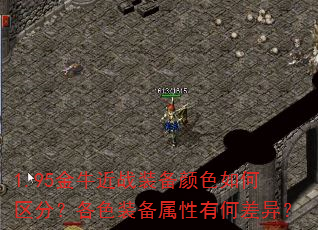 1.95��ţ��սװ����ɫ������֣���ɫװ�������кβ��죿