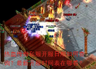 ��Ѫ����˽������������β�ѯ�����¿���ʱ������Ŀ���