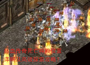 ��Ѫ�����������λ����⼰��Ч̽�����ԣ�