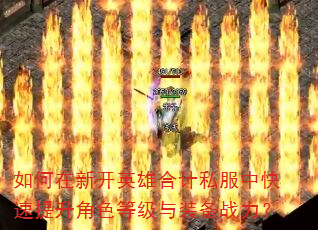 ������¿�Ӣ�ۺϼ�˽���п���������ɫ�ȼ���װ��ս����