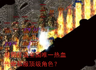 ��δ���ȫ��Ψһ��Ѫ����˽��������ɫ��