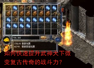 ��ο���������������΢�临�Ŵ����ս������