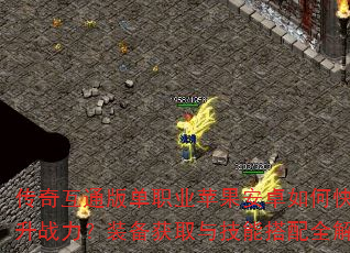 ���滥ͨ�浥ְҵƻ����׿��ο�������ս����װ����ȡ�뼼�ܴ���ȫ����