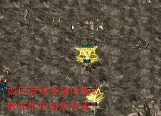 如何有效举报传奇私服并维护游戏环境? 如何有效举报传奇私服并维护游戏环境?