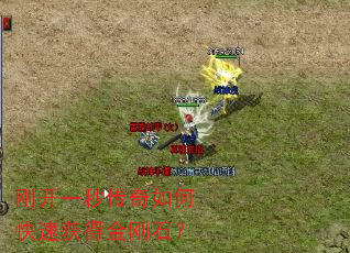 �տ�һ�봫����ο��ٻ�ý��ʯ��
