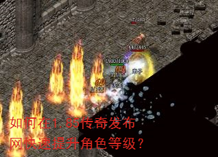 �����1.85���淢��������������ɫ�ȼ���