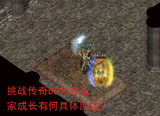 ��ս����BOSS����ҳɳ��кξ������棿