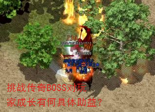 ��ս����BOSS����ҳɳ��кξ������棿