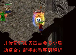 ������SF��������Ҫ���������ʽ����ֱؿ����ý���