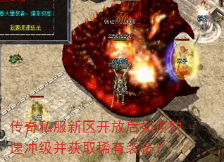 ����˽���������ź���ο��ٳ弶����ȡϡ��װ����