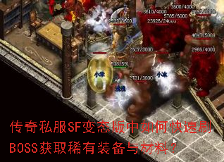 ����˽��SF��̬������ο���ˢBOSS��ȡϡ��װ������ϣ�