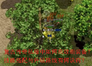 复古传奇私服中如何高效刷装备?技能搭配与升级路线有何诀窍? 复古传奇私服中如何高效刷装备?技能搭配与升级路线有何诀窍?