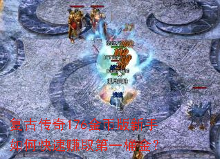���Ŵ���176��Ұ�������ο���׬ȡ��һͰ��