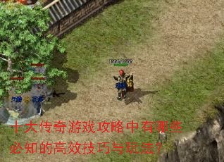 十大传奇游戏攻略中有哪些必知的高效技巧与玩法? 十大传奇游戏攻略中有哪些必知的高效技巧与玩法?