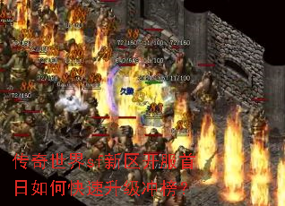 ��������sf��������������ο����������