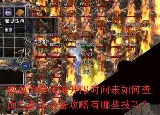 ��Ѫ����˽������ʱ�����β�ѯ�����ֱر���������Щ���ɣ�