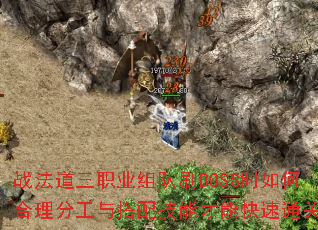 ս������ְҵ���ˢBOSSʱ��κ����ֹ�����似�ܲ��ܿ���ͨ�أ�