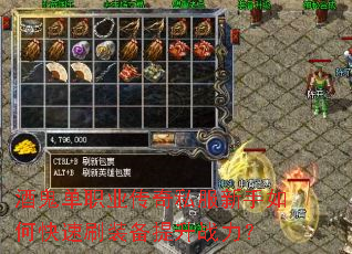 �ƹ���ְҵ����˽��������ο���ˢװ������ս����