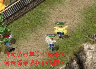 传奇私服单职业新手如何选择最强技能搭配? 传奇私服单职业新手如何选择最强技能搭配?