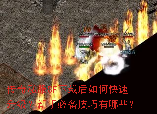 ����˽��SF���غ���ο������������ֱر���������Щ��