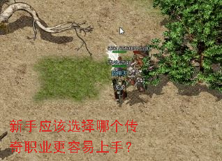 ����Ӧ��ѡ���ĸ�����ְҵ���������֣�