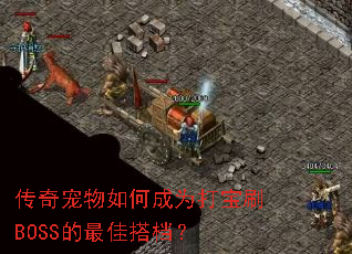 ���������γ�Ϊ��ˢBOSS����Ѵ��