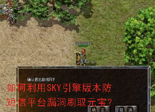 �������SKY����汾������ƽ̨©��ˢȡԪ����