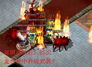 ��γɹ���1.85��������������������