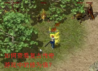 ��β鿴���Ŵ�����Ϸ�е���Ϊֵ��