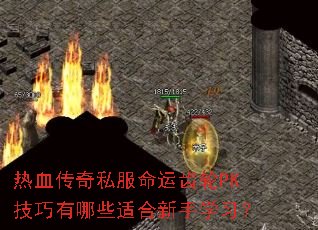 ��Ѫ����˽�����˳���PK��������Щ�ʺ�����ѧϰ��