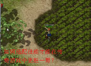 ��δ��似�ܲ����ڴ�����Ϸ�и�ʤһ�
