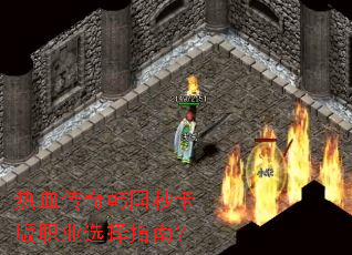 ��Ѫ���溫���뿨��ְҵѡ��ָ�ϣ�