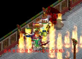 ��ʧ��ְҵ����boss����ȫ���ԣ�