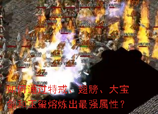 ���ͨ���ؽ䡢��򡢴󱦽���������������ǿ���ԣ�
